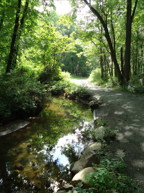 Loantaka_Brook_Reservation_bikeway_horse_path_and_stream_and_reflections